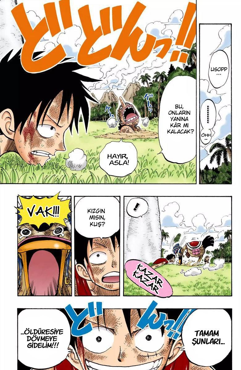 One Piece Bölüm 121 - Sayfa 19