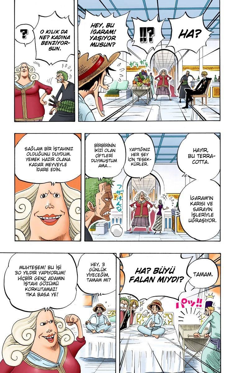 One Piece Bölüm 213 - Sayfa 10