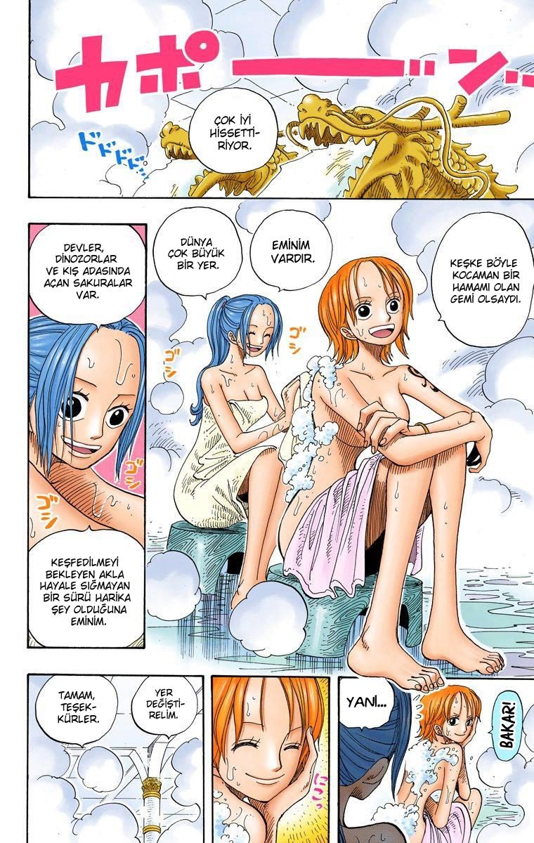 One Piece Bölüm 213 - Sayfa 17
