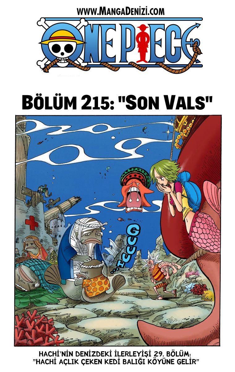 One Piece Bölüm 215 - Sayfa 1