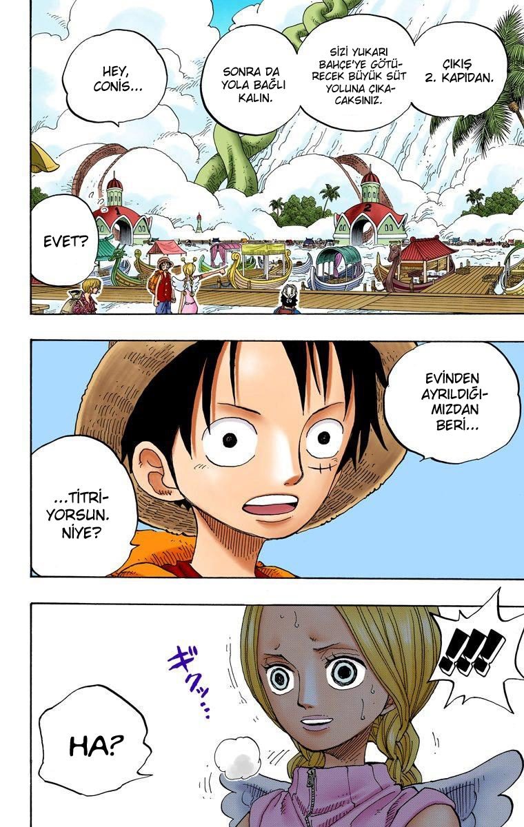One Piece Bölüm 244 - Sayfa 8