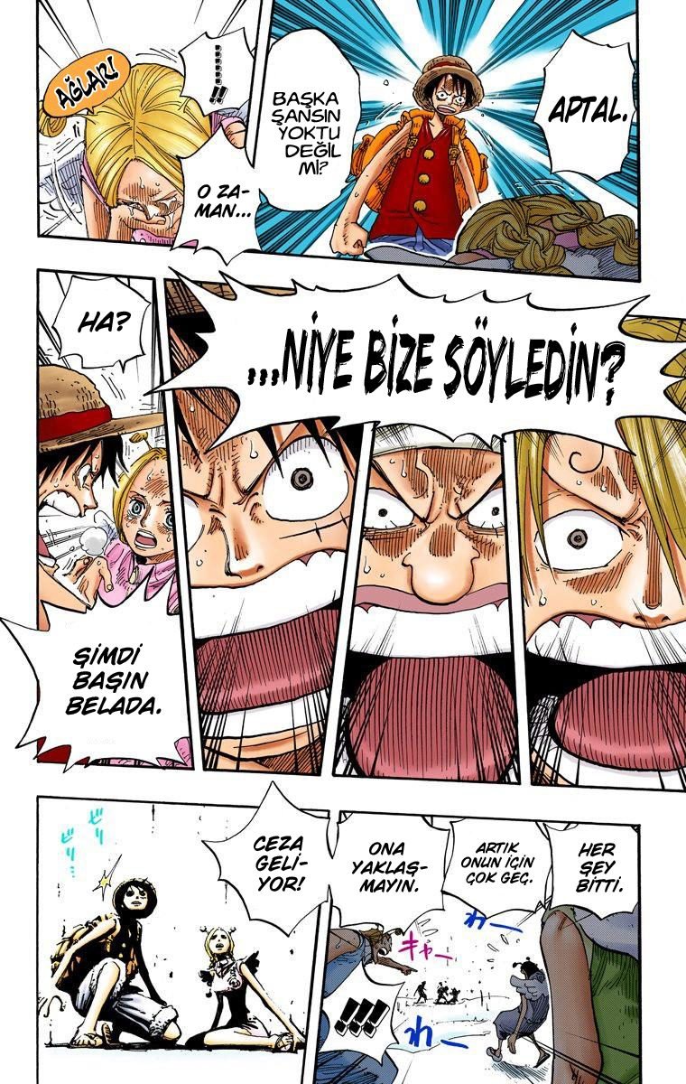 One Piece Bölüm 244 - Sayfa 14