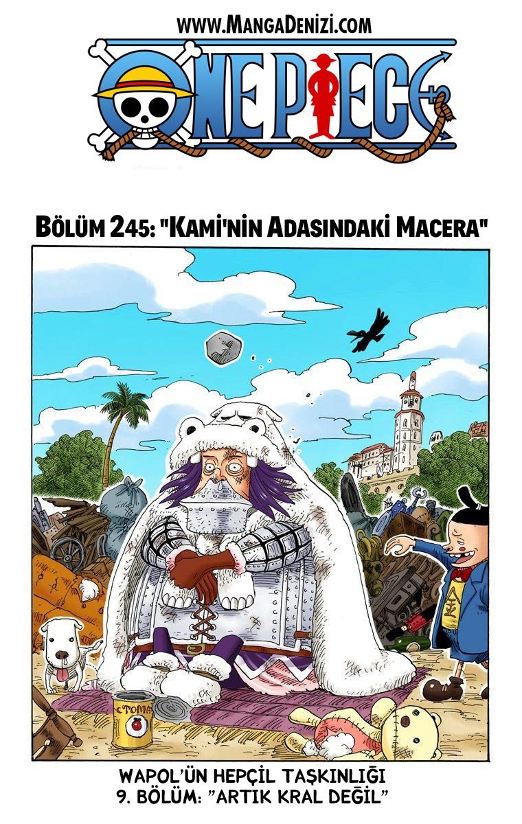 One Piece Bölüm 245 - Sayfa 1