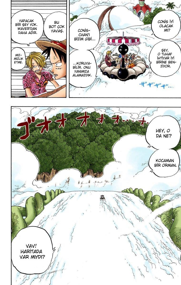 One Piece Bölüm 245 - Sayfa 2