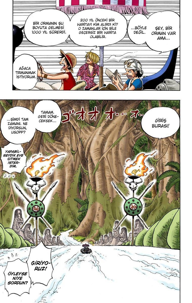 One Piece Bölüm 245 - Sayfa 3