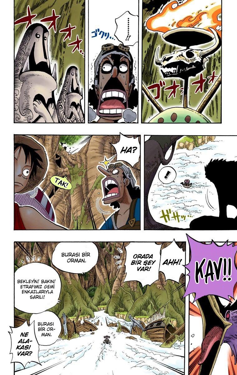 One Piece Bölüm 245 - Sayfa 4