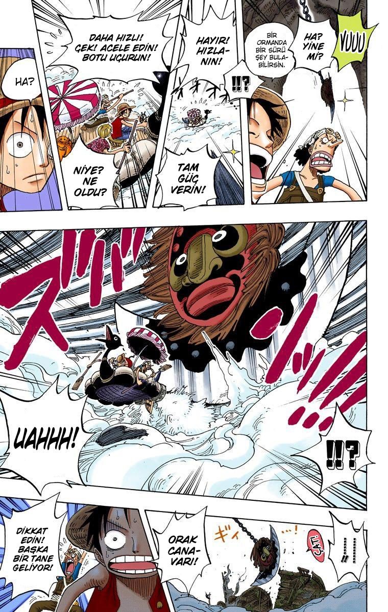 One Piece Bölüm 245 - Sayfa 5