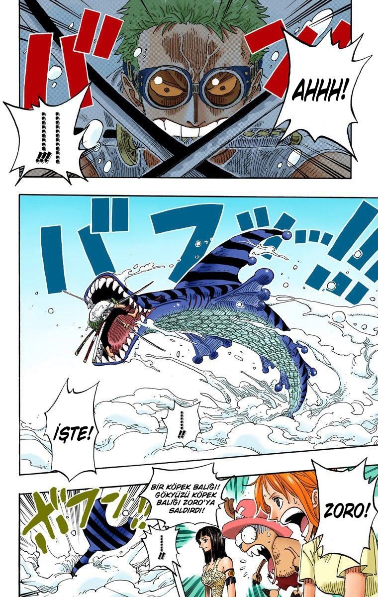 One Piece Bölüm 245 - Sayfa 10