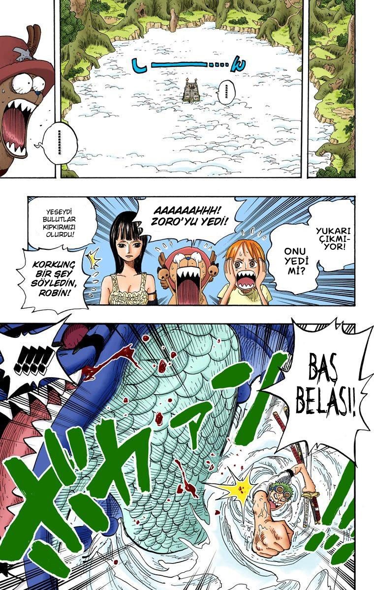 One Piece Bölüm 245 - Sayfa 11