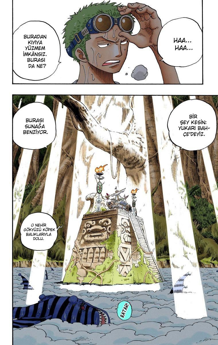 One Piece Bölüm 245 - Sayfa 12