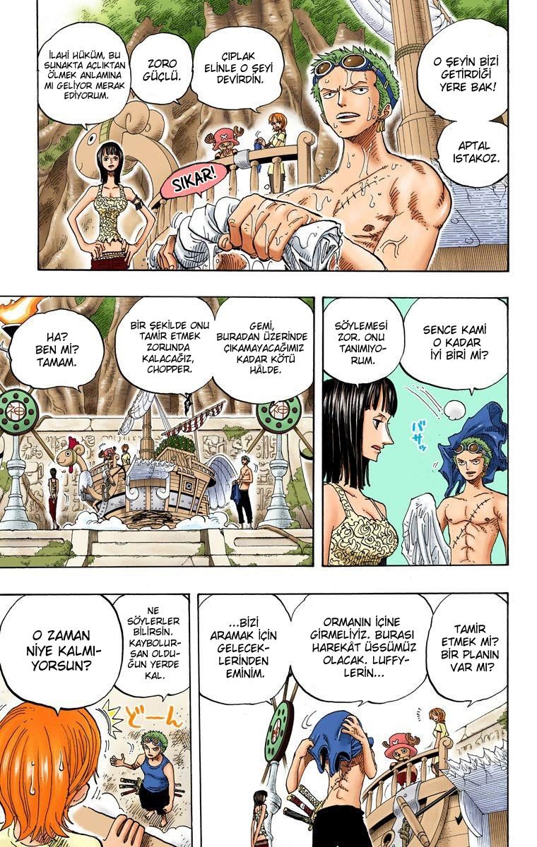 One Piece Bölüm 245 - Sayfa 13