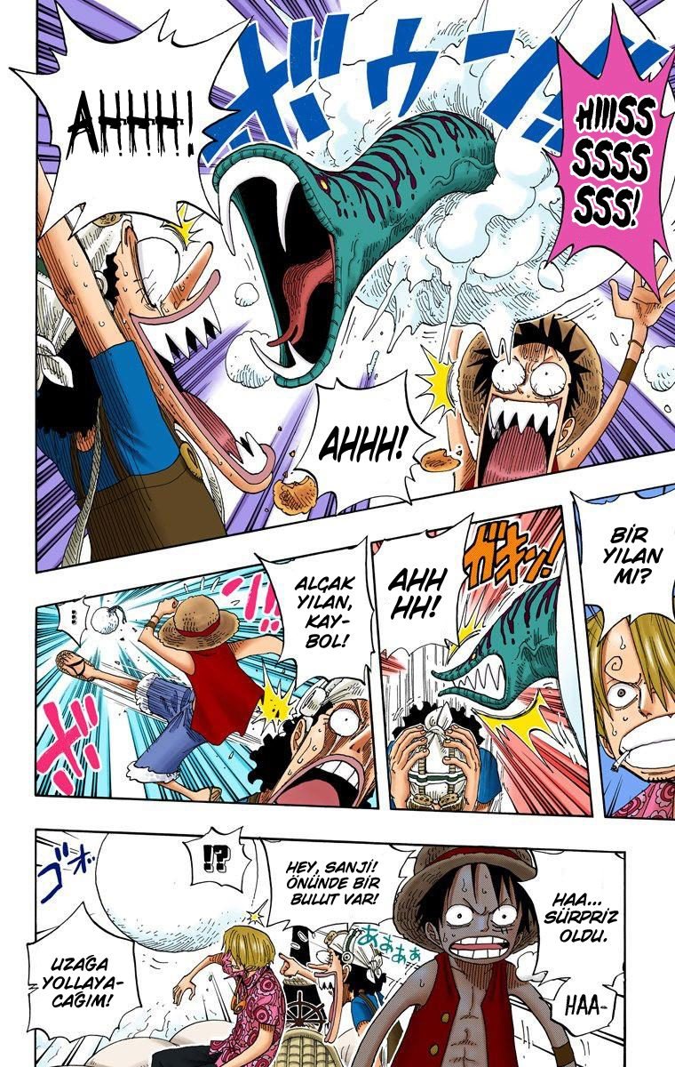 One Piece Bölüm 246 - Sayfa 9