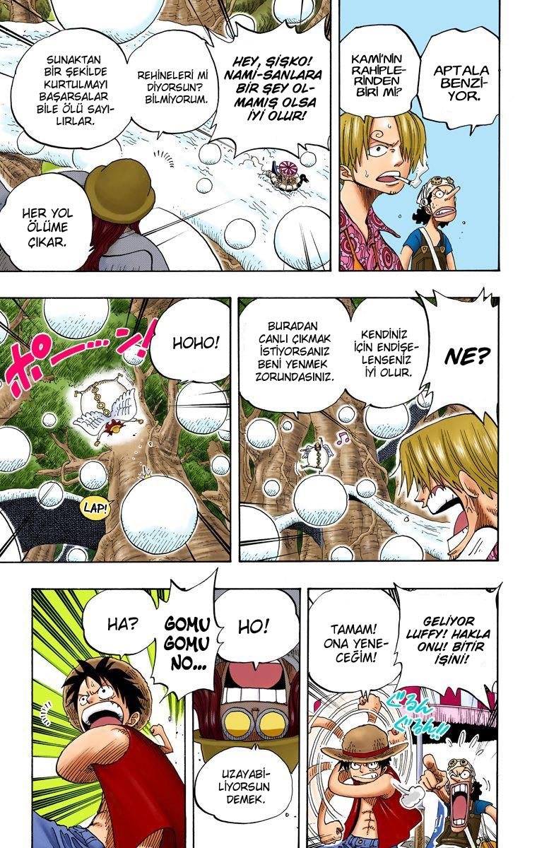 One Piece Bölüm 246 - Sayfa 12