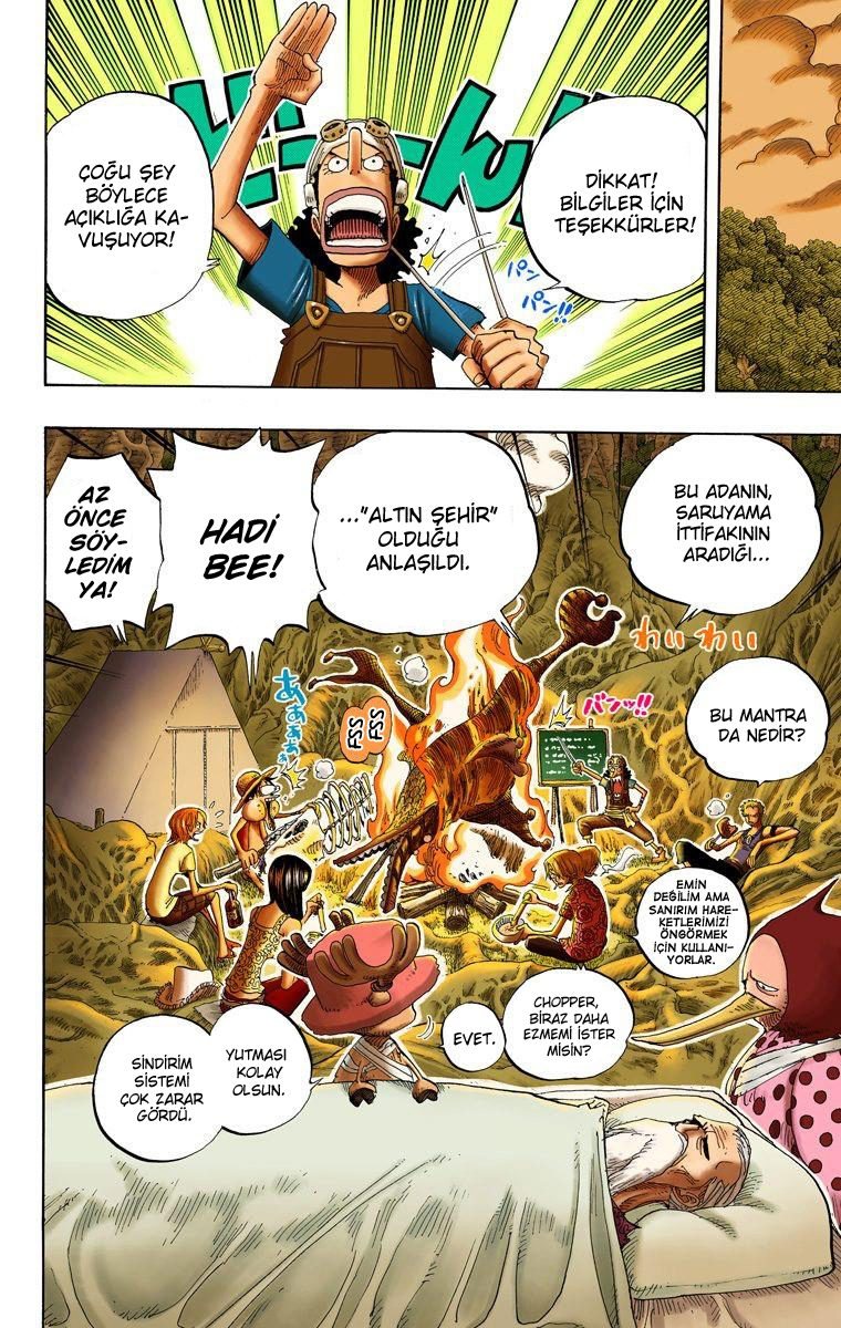 One Piece Bölüm 252 - Sayfa 18