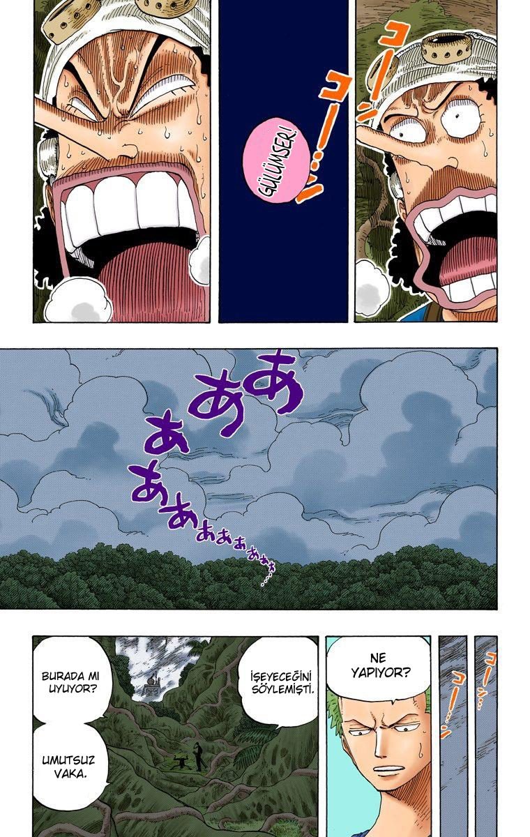 One Piece Bölüm 254 - Sayfa 4