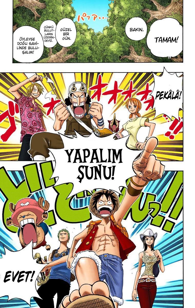 One Piece Bölüm 254 - Sayfa 16