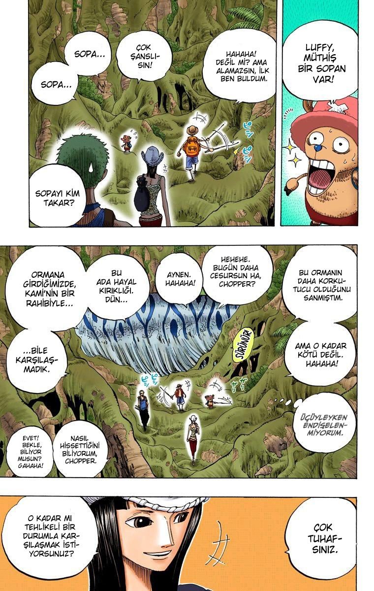 One Piece Bölüm 255 - Sayfa 3