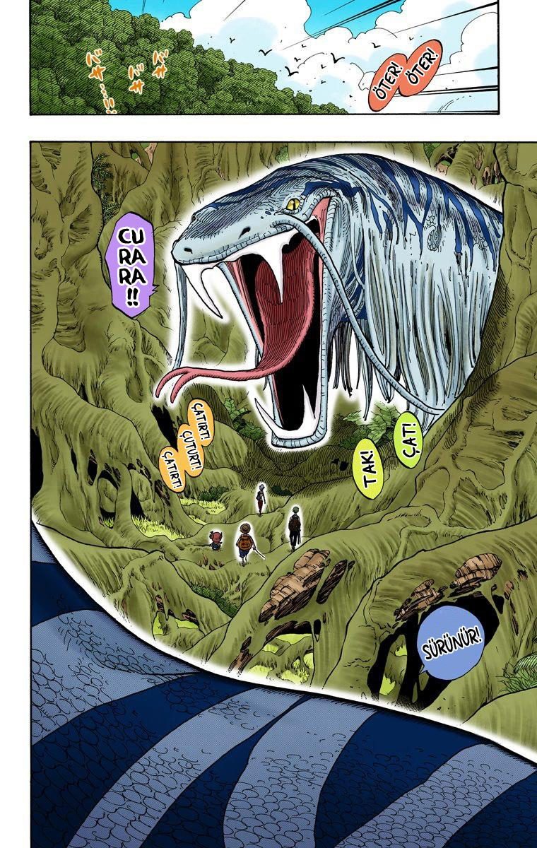 One Piece Bölüm 255 - Sayfa 4