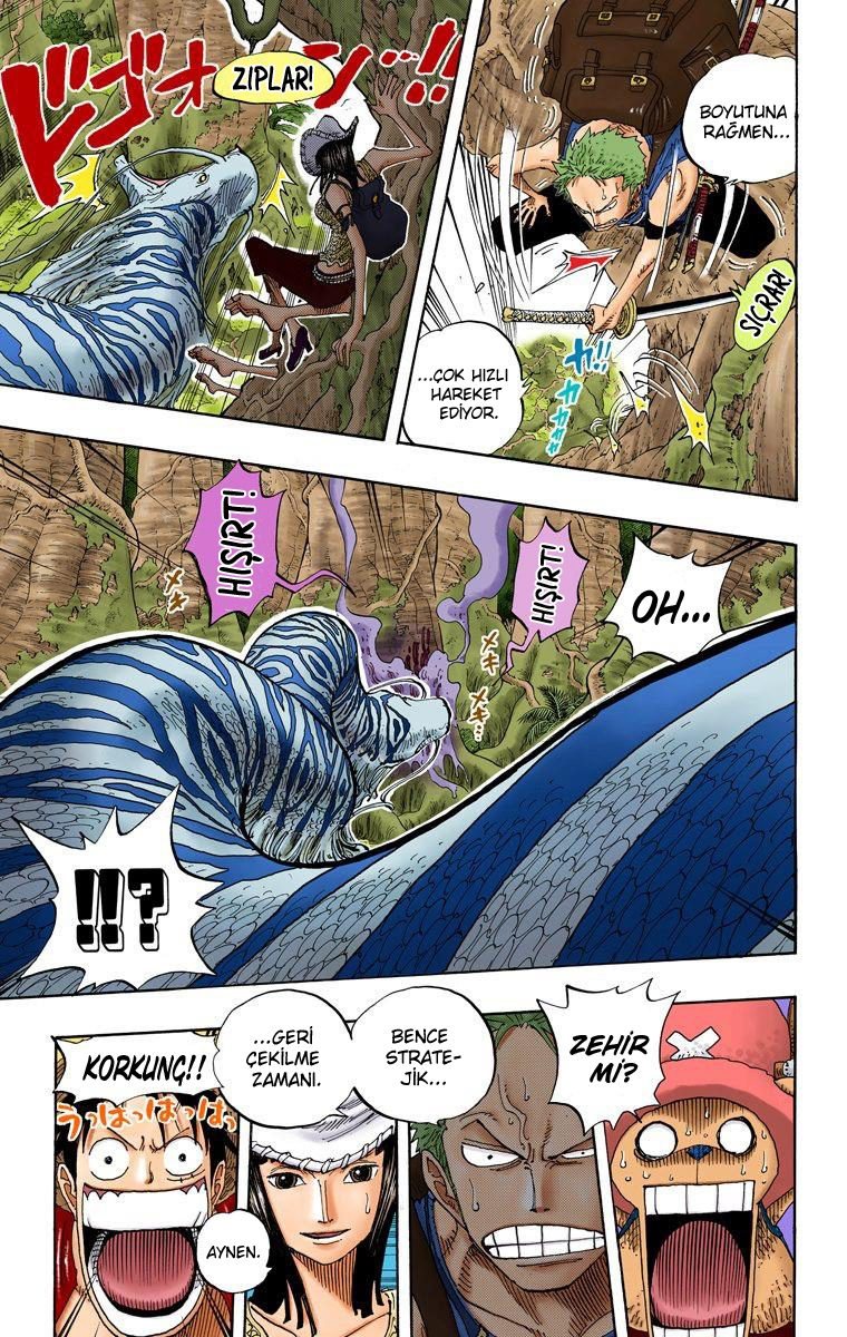One Piece Bölüm 255 - Sayfa 15
