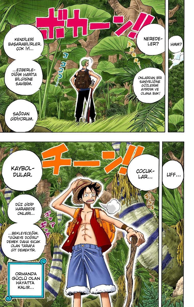 One Piece Bölüm 255 - Sayfa 19