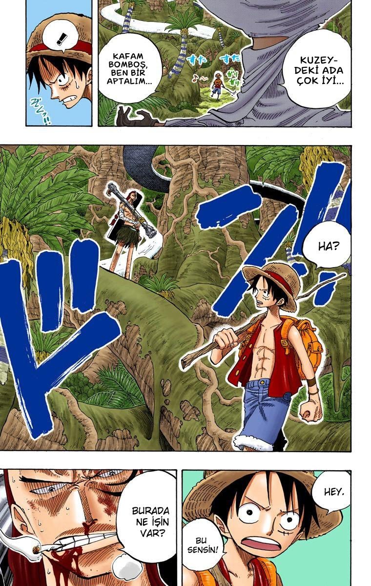 One Piece Bölüm 257 - Sayfa 19