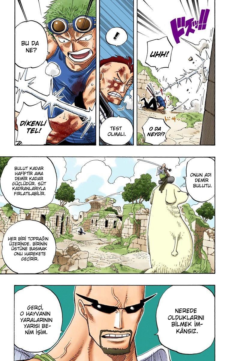 One Piece Bölüm 268 - Sayfa 13