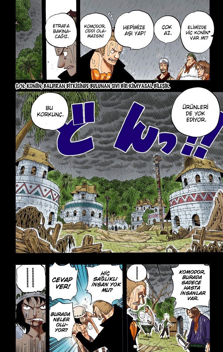 One Piece Bölüm 287 - Sayfa 13