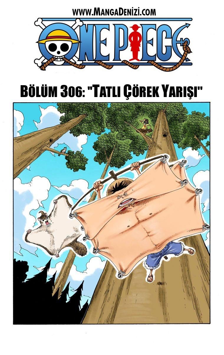 One Piece Bölüm 306 - Sayfa 1