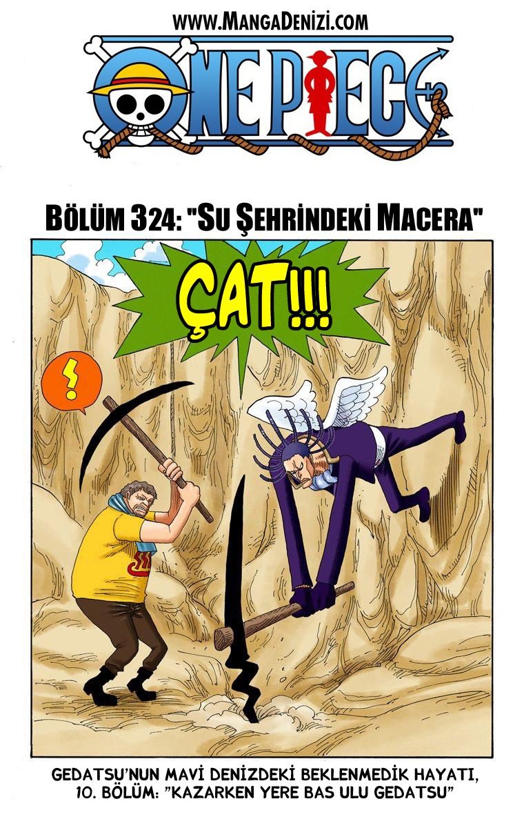 One Piece Bölüm 324 - Sayfa 1