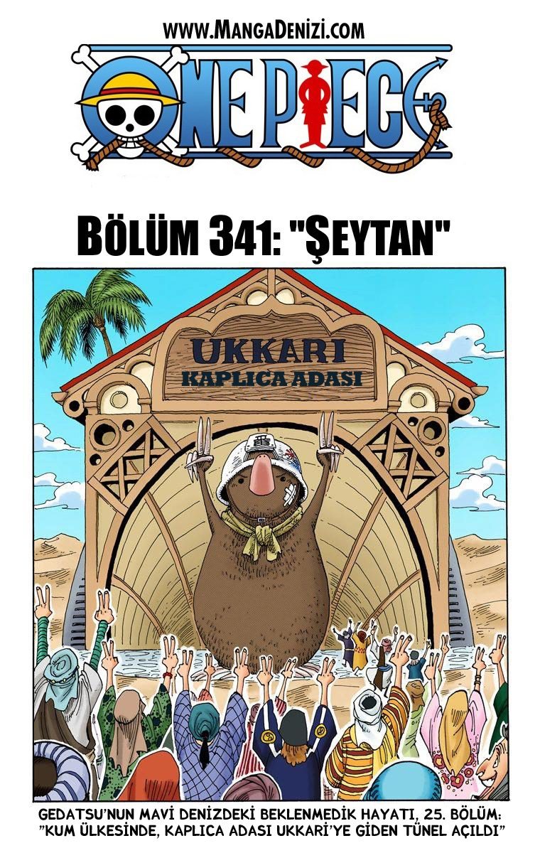 One Piece Bölüm 341 - Sayfa 1