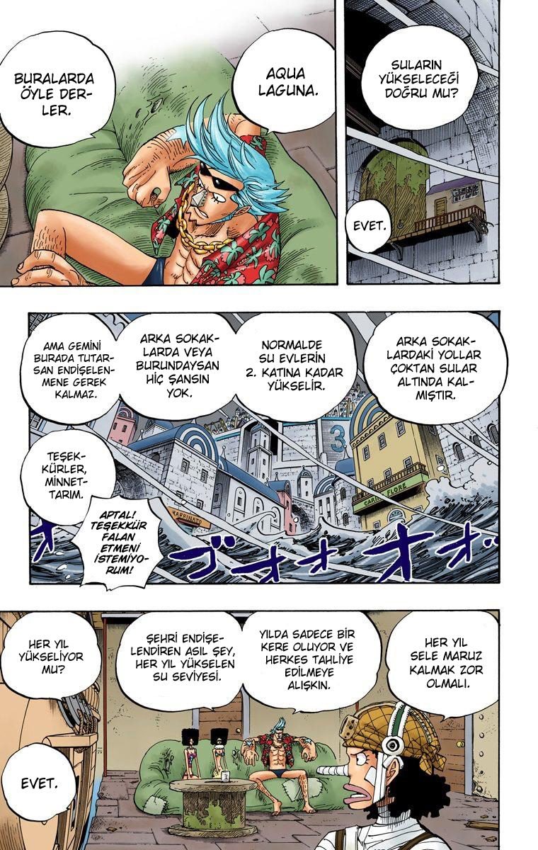 One Piece Bölüm 350 - Sayfa 13