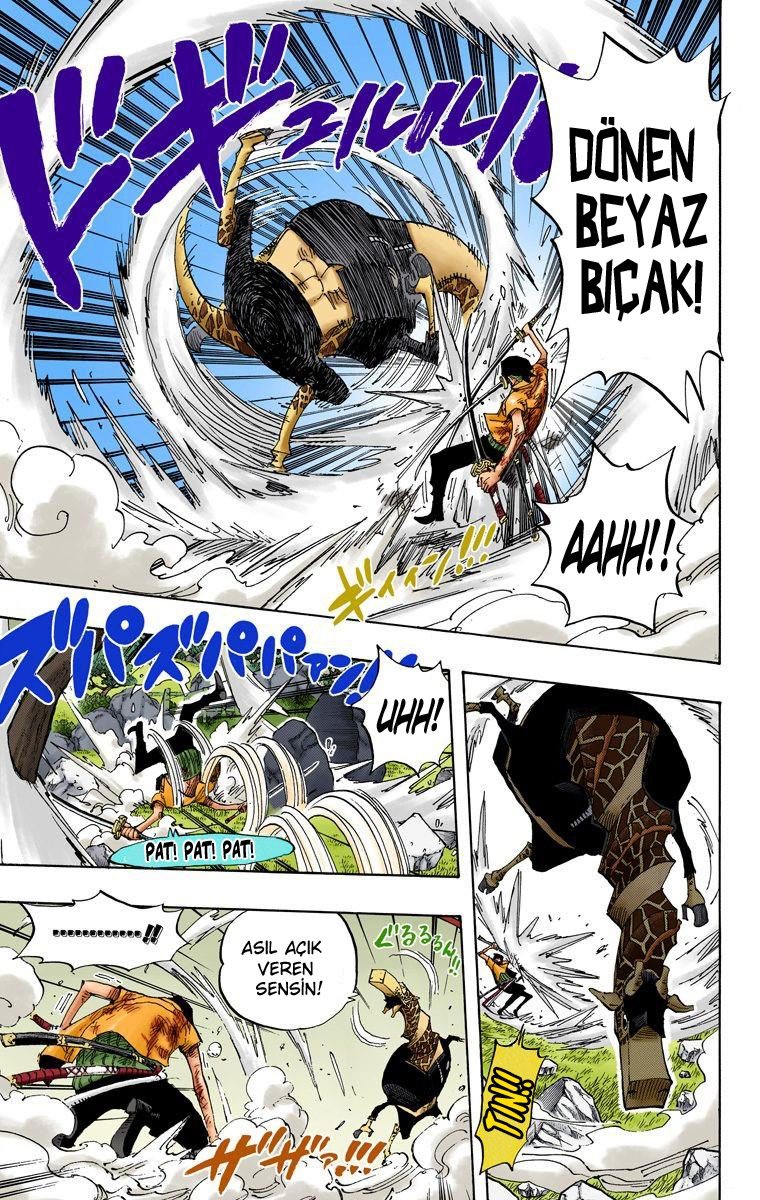 One Piece Bölüm 417 - Sayfa 5