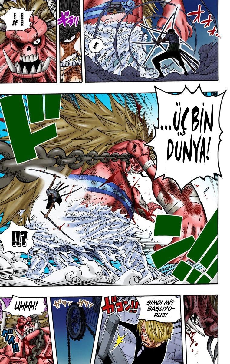 One Piece Bölüm 480 - Sayfa 14