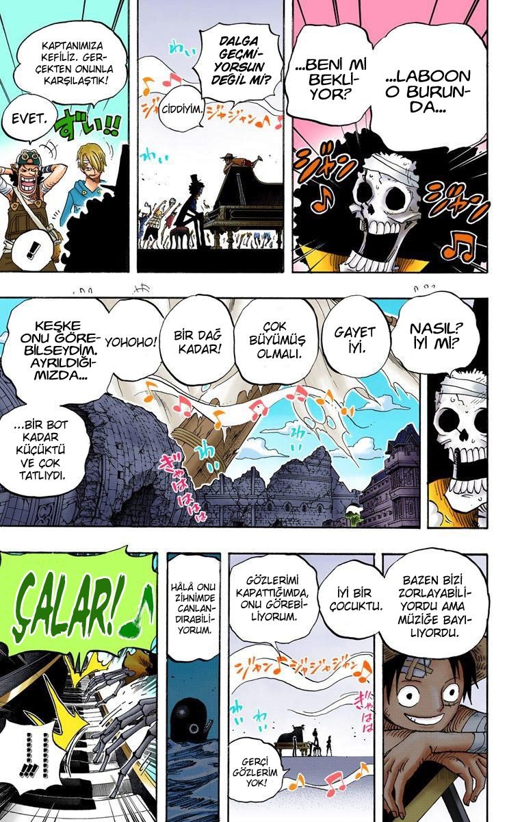 One Piece Bölüm 486 - Sayfa 17