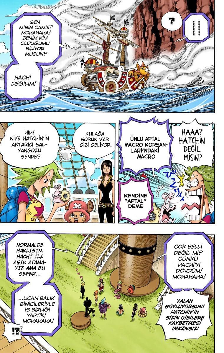 One Piece Bölüm 491 - Sayfa 7