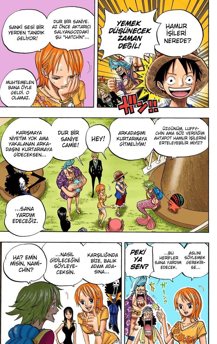 One Piece Bölüm 491 - Sayfa 9