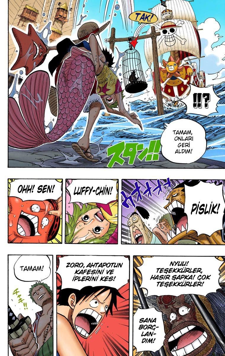 One Piece Bölüm 492 - Sayfa 18