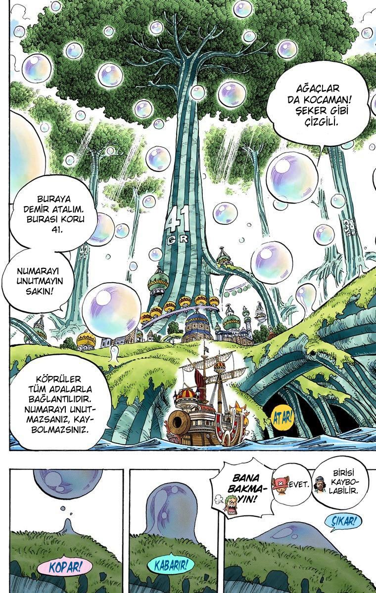 One Piece Bölüm 496 - Sayfa 15