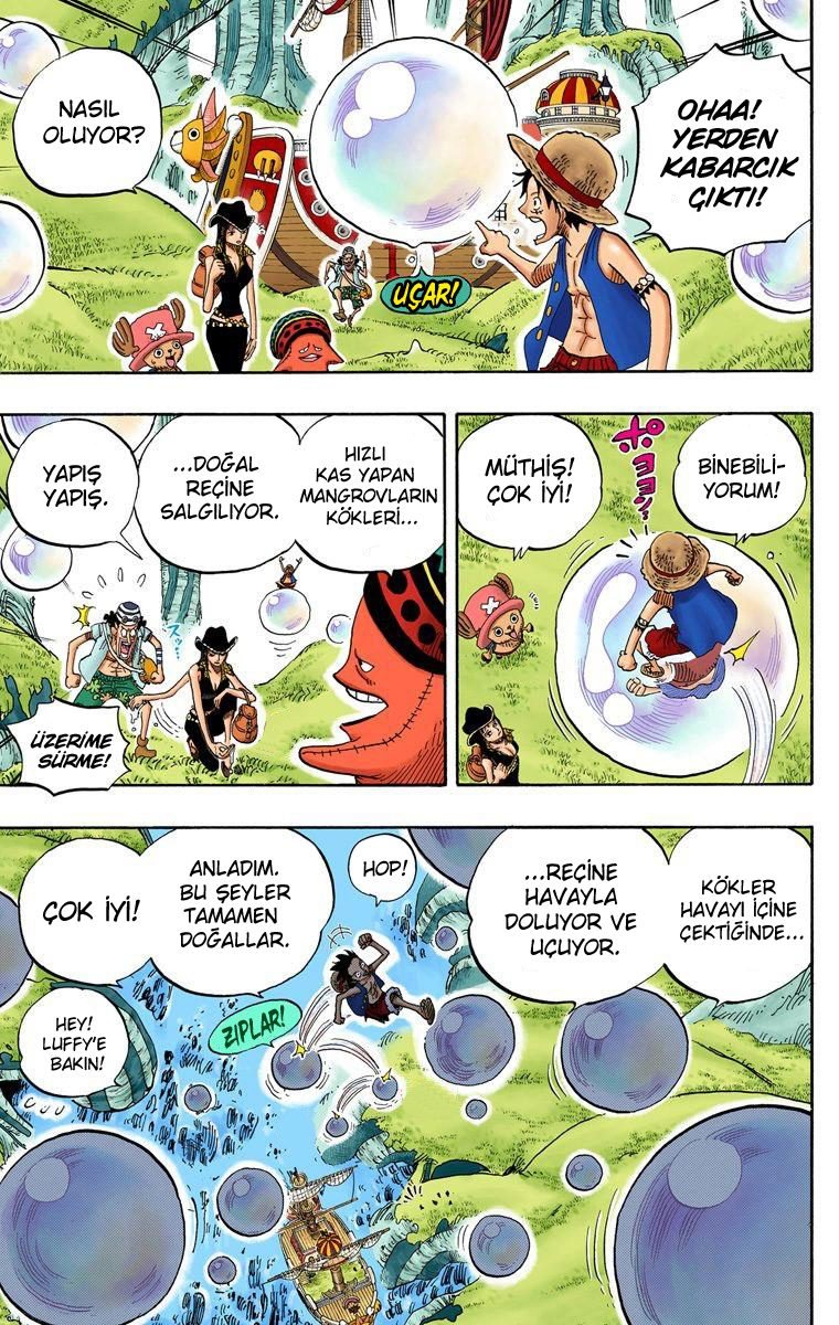 One Piece Bölüm 496 - Sayfa 16