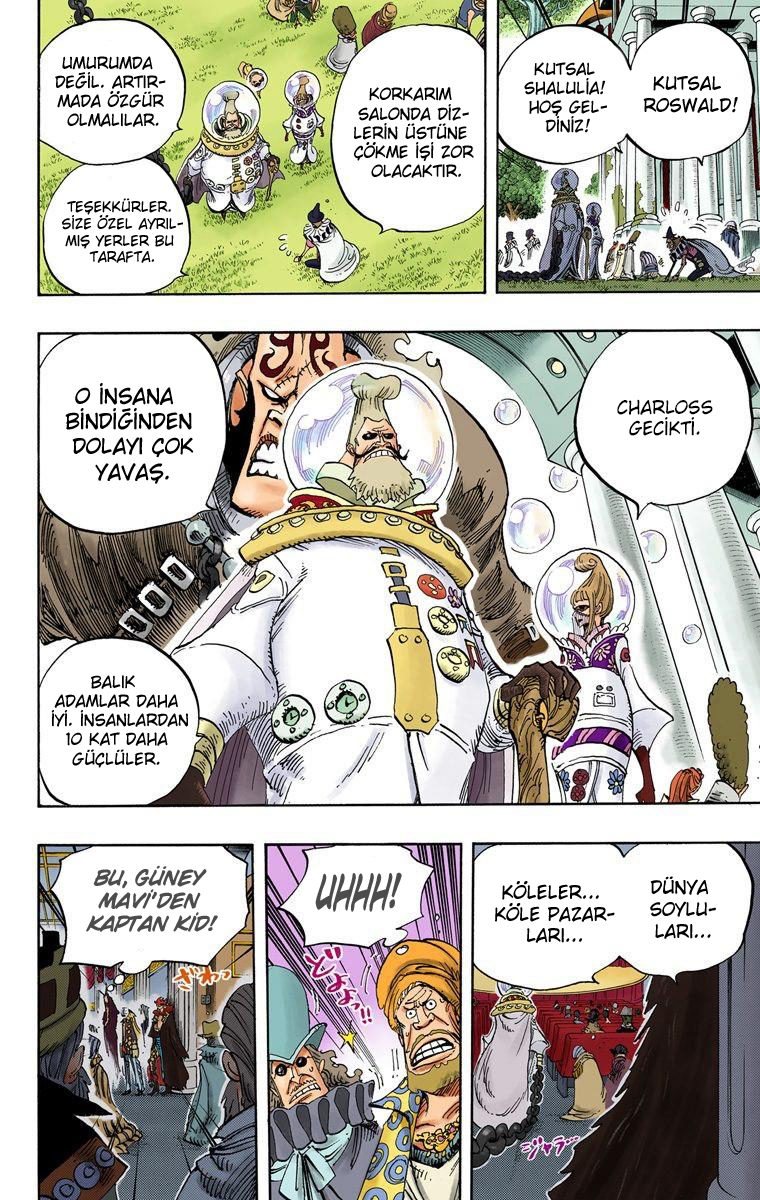 One Piece Bölüm 500 - Sayfa 14