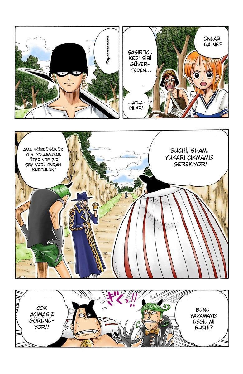 One Piece Bölüm 31 - Sayfa 15