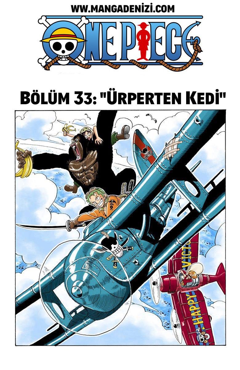 One Piece Bölüm 33 - Sayfa 1