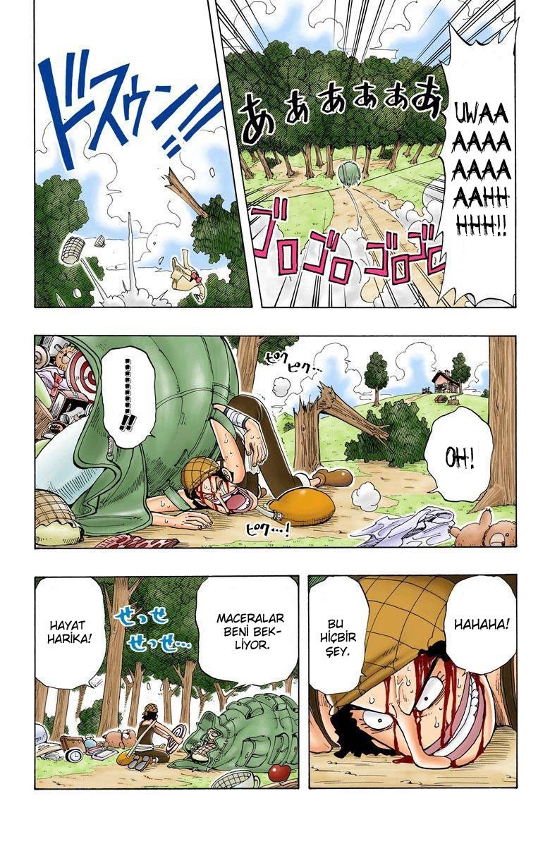 One Piece Bölüm 41 - Sayfa 6