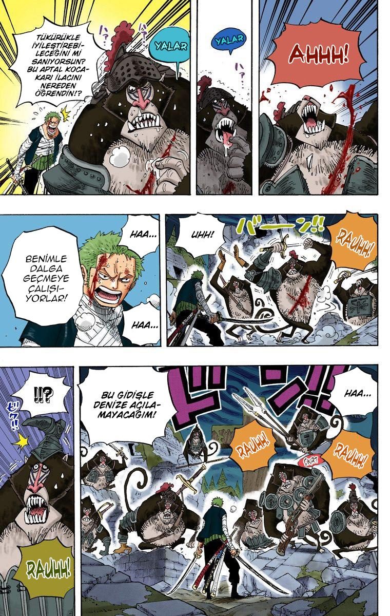 One Piece Bölüm 592 - Sayfa 5