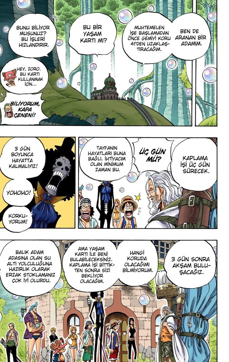 One Piece Bölüm 507 - Sayfa 10