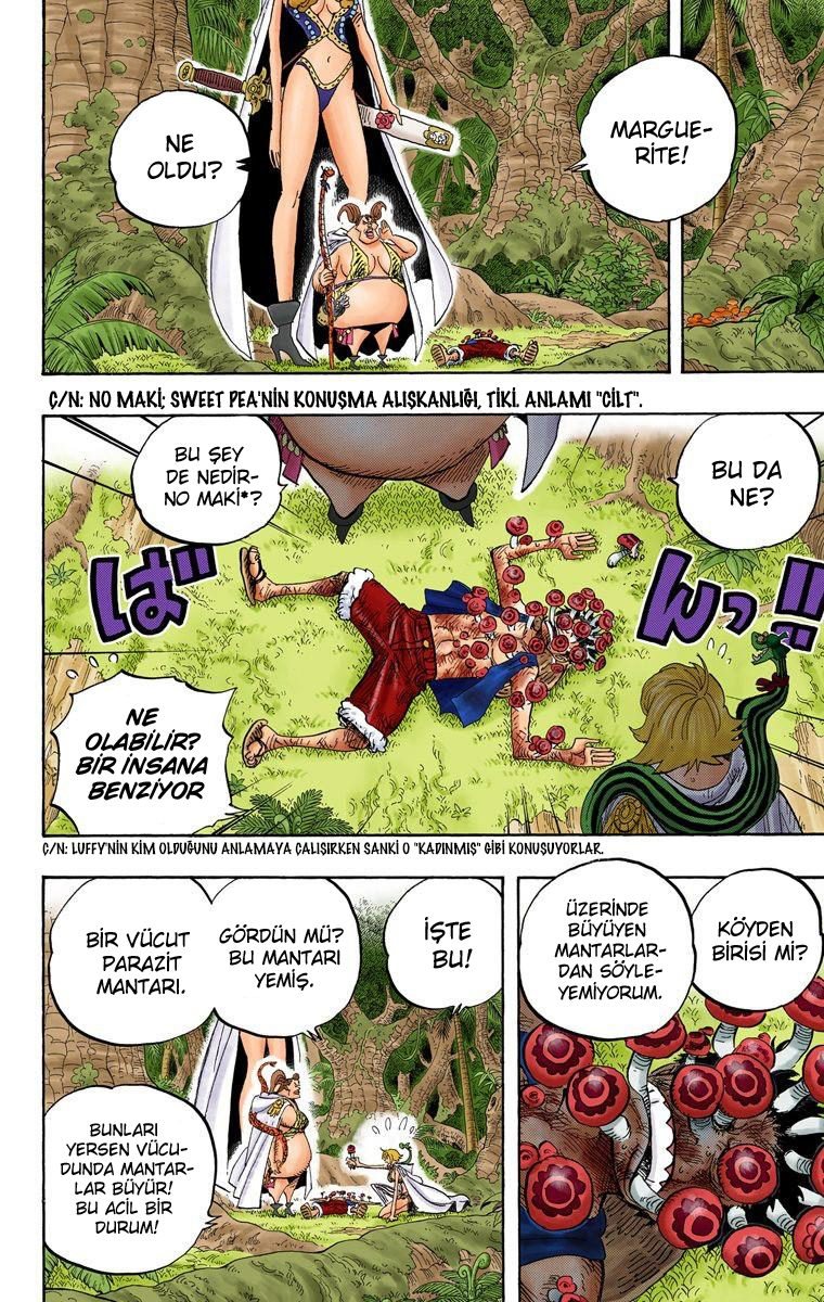 One Piece Bölüm 514 - Sayfa 14