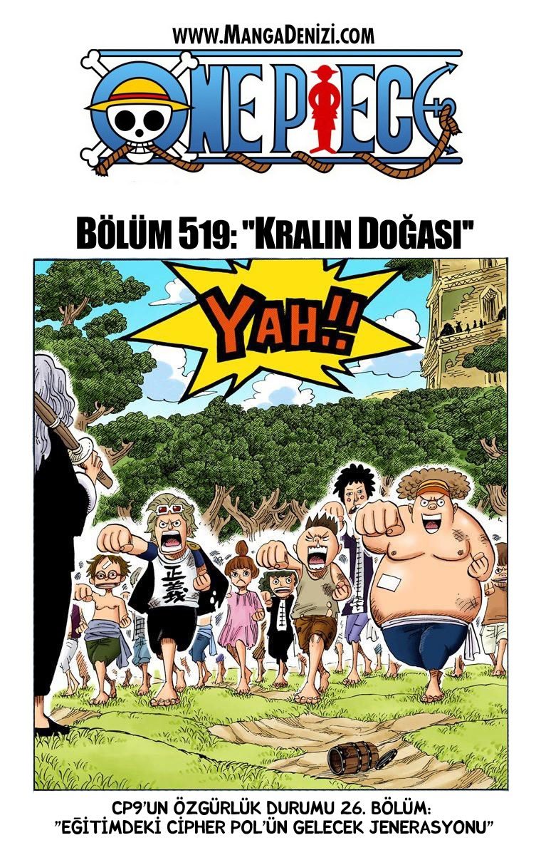 One Piece Bölüm 519 - Sayfa 1