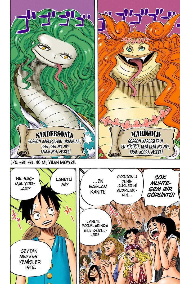 One Piece Bölüm 519 - Sayfa 2