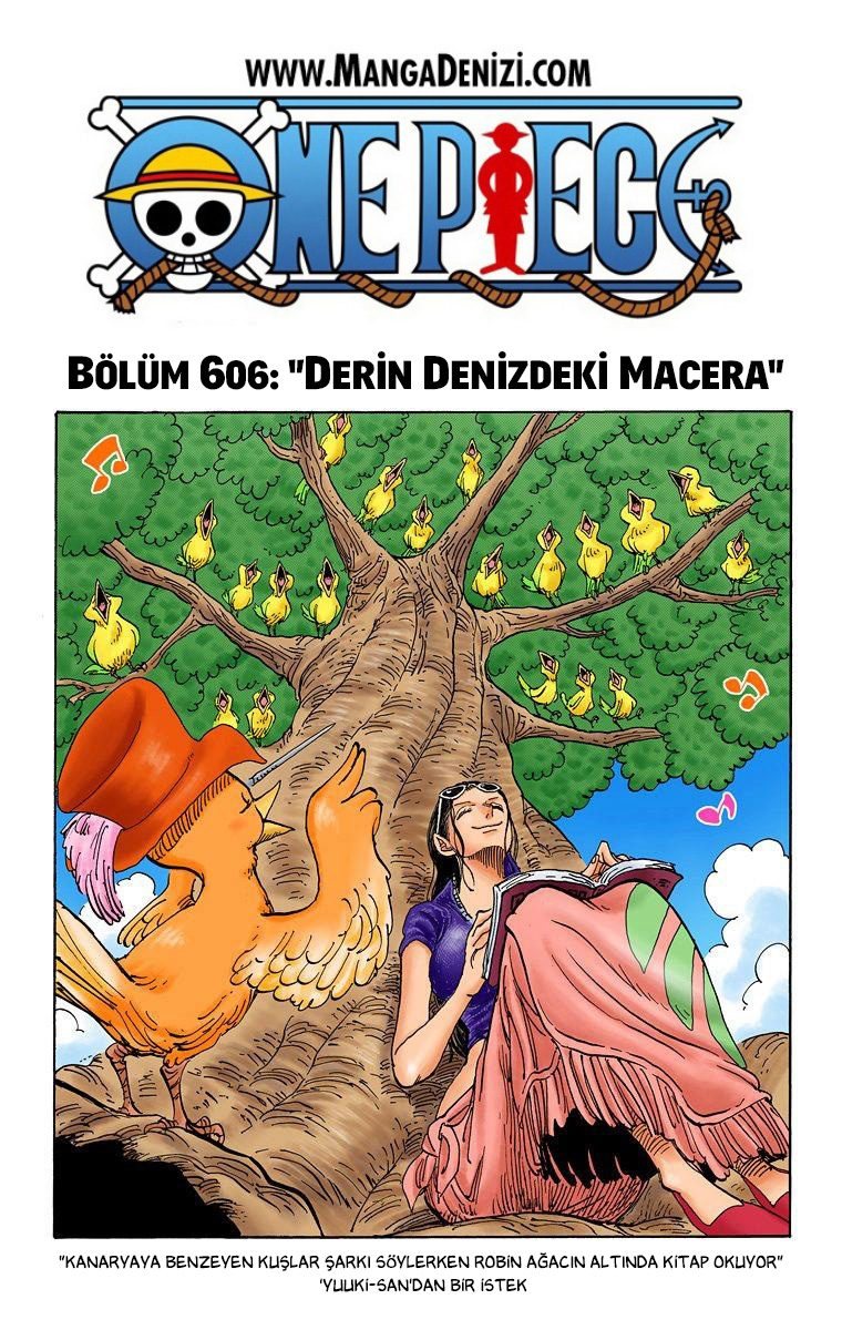 One Piece Bölüm 606 - Sayfa 1
