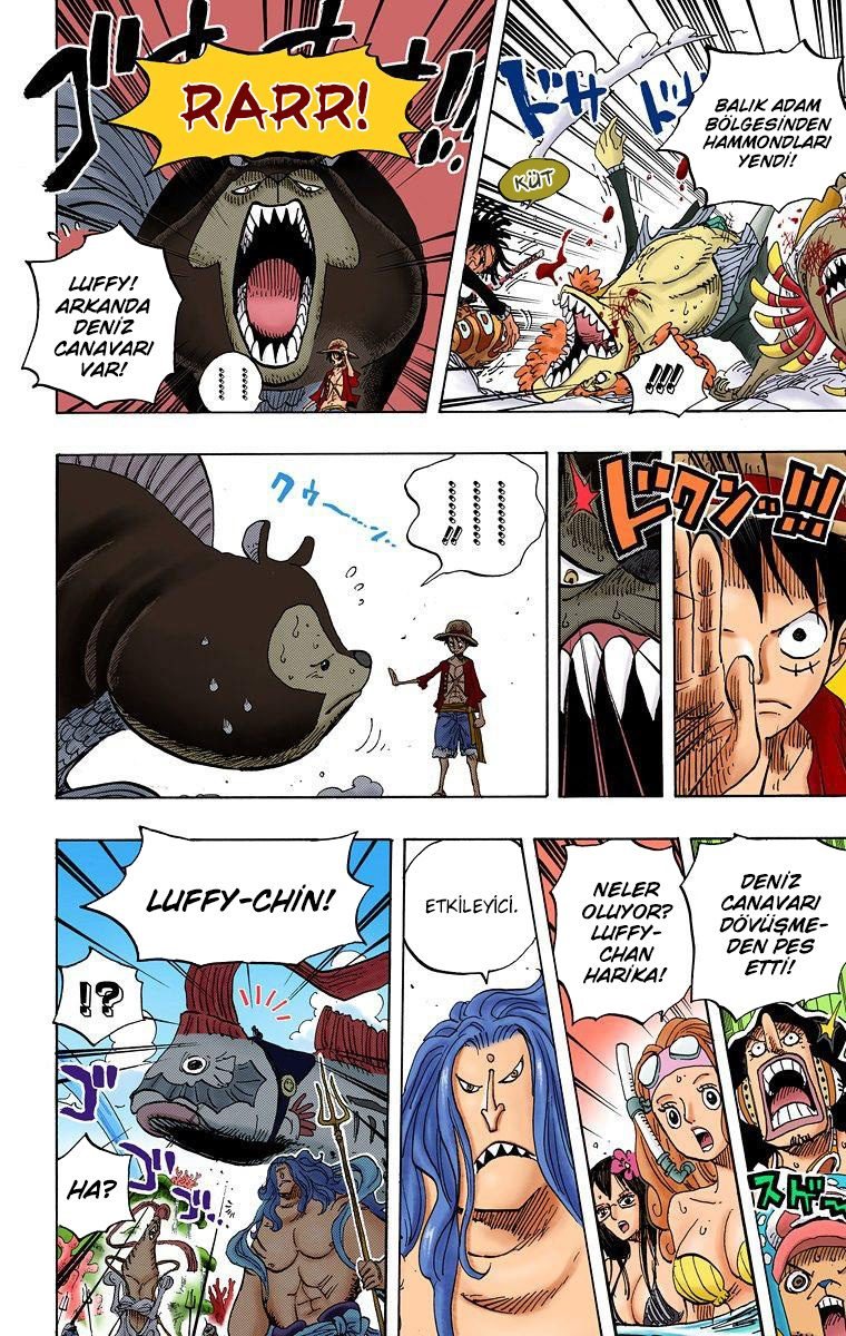 One Piece Bölüm 609 - Sayfa 13